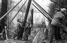 WORKING TOGETHER: Volunteers have always helped each other to make Wildwood a better place. (Photo courtesy of Powell River Historical Museum)